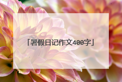 暑假日记作文400字