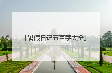暑假日记五百字大全