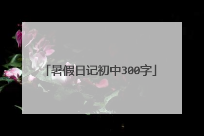 暑假日记初中300字