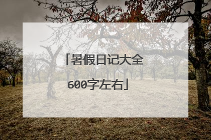 暑假日记大全600字左右