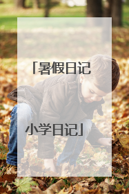 暑假日记小学日记