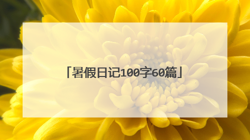 暑假日记100字60篇