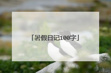 暑假日记100字