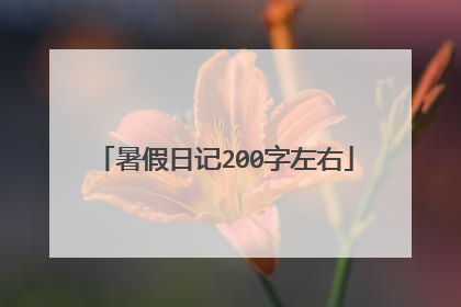 暑假日记200字左右