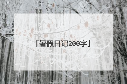 暑假日记200字