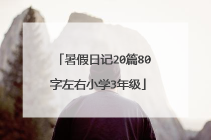 暑假日记20篇80字左右小学3年级