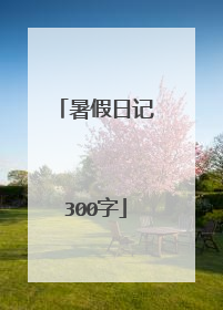 暑假日记300字