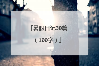 暑假日记30篇(100字)