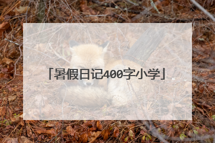 暑假日记400字小学