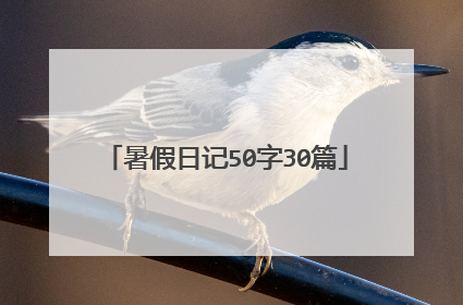 暑假日记50字30篇