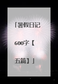 暑假日记600字【五篇】