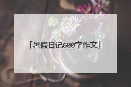 暑假日记600字作文