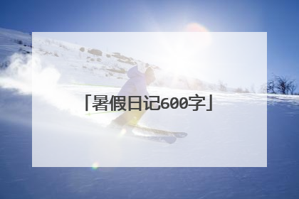暑假日记600字