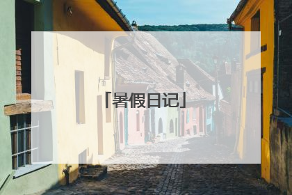 暑假日记