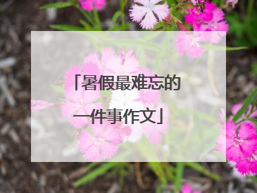 暑假最难忘的一件事作文
