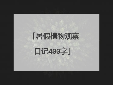 暑假植物观察日记400字