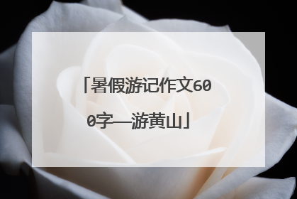 暑假游记作文600字——游黄山