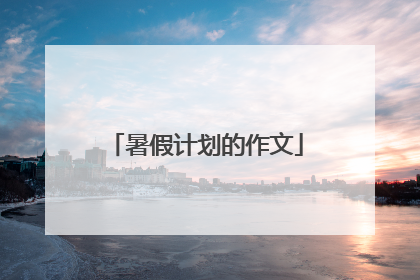 暑假计划的作文