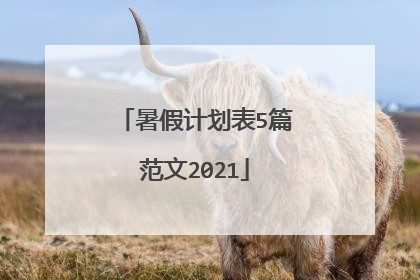 暑假计划表5篇范文2021