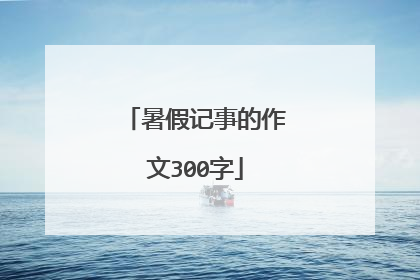 暑假记事的作文300字