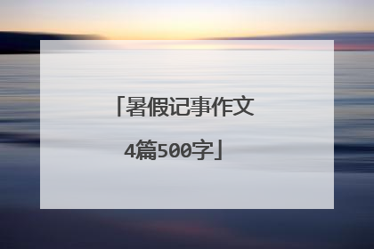 暑假记事作文4篇500字