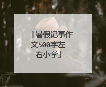 暑假记事作文500字左右小学
