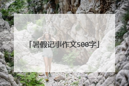 暑假记事作文500字