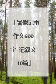 暑假记事作文600字_记叙文10篇