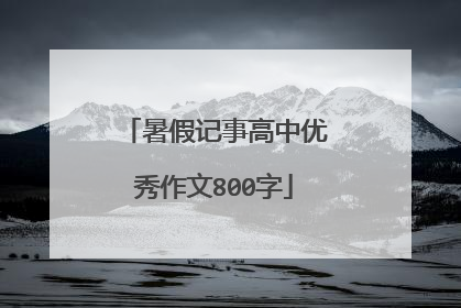 暑假记事高中优秀作文800字