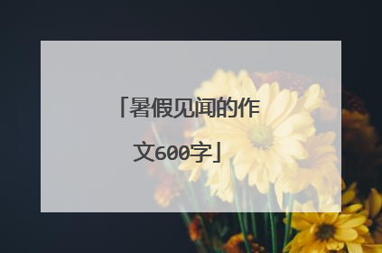 暑假见闻的作文600字
