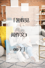 暑假见闻作文300字