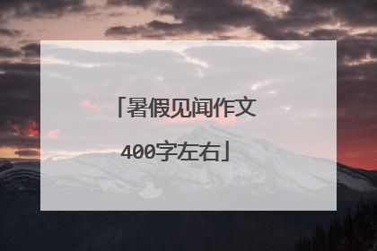 暑假见闻作文400字左右