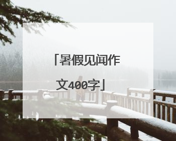 暑假见闻作文400字