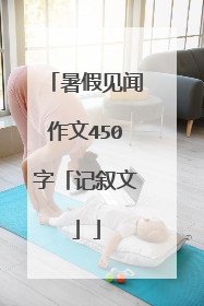 暑假见闻作文450字「记叙文」