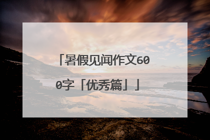 暑假见闻作文600字「优秀篇」