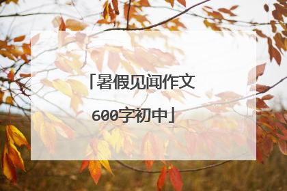 暑假见闻作文600字初中