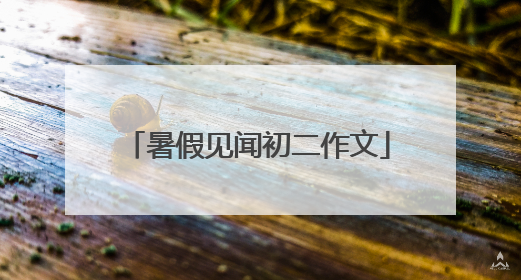 暑假见闻初二作文