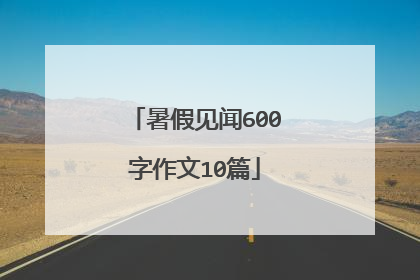 暑假见闻600字作文10篇