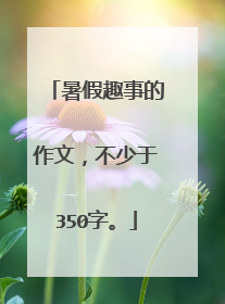 暑假趣事的作文，不少于350字。