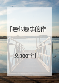 暑假趣事的作文300字
