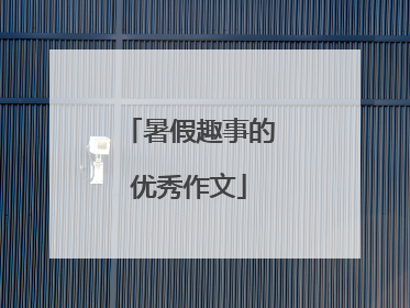 暑假趣事的优秀作文
