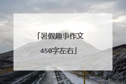 暑假趣事作文 450字左右