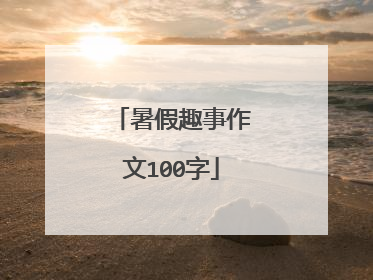 暑假趣事作文100字