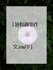 暑假趣事作文200字