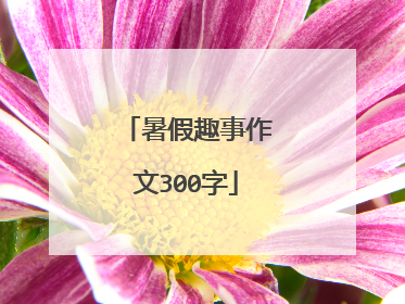 暑假趣事作文300字