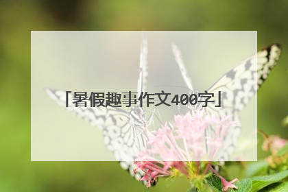 暑假趣事作文400字
