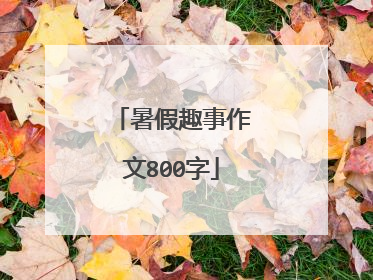 暑假趣事作文800字