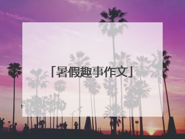 暑假趣事作文