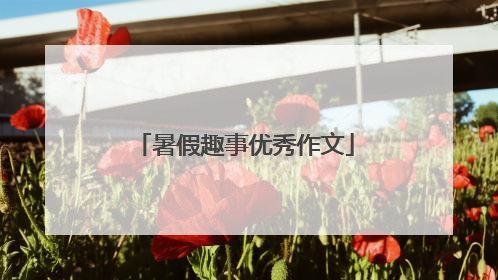 暑假趣事优秀作文