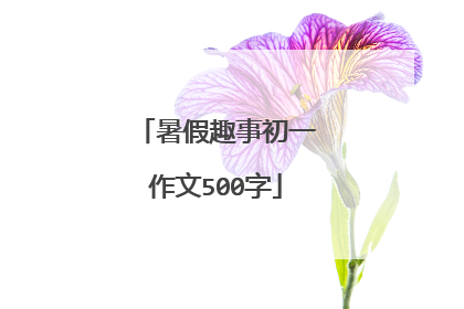 暑假趣事初一作文500字